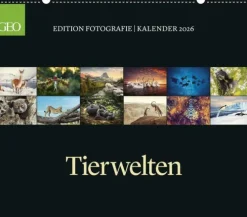 GEO - GEO Edition: Tierwelten 2026 - Wandkalender 70x60 cm, Tier-Poster-Kalender mit Wildlife-Fotografie, 12 Monatsblätter & Spiralbindung inkl. Postkarten für Tier- und Naturfreunde*teNeues Calendars & Stationery GmbH & Co. KG Best