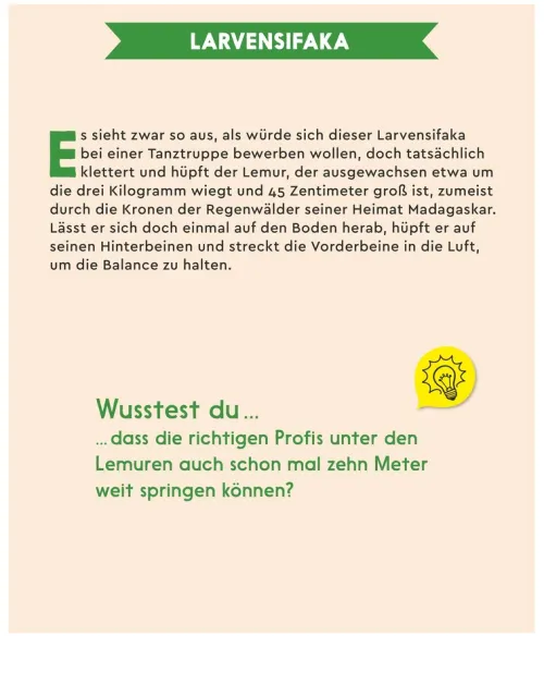 teNeues Calendars & Stationery GmbH & Co. KG Abreiß-Kalender*GEOlino - Der GEOlino-Kalender 2026 - Abreißkalender 12,5x16 cm, 365 spannende Tierporträts & kindgerechte Wissens-Fakten für Kinder ab 8 Jahren