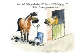 Hassa & Karl GbR Comics|Cartoons*Gesammelte Geschichten vom Pferd