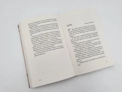 Piper Verlag GmbH Schicksalsromane-Geteiltes Land - Zwischen Hoffnung und Aufbruch