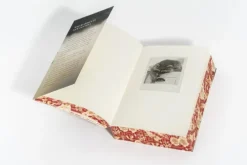 Heyne Taschenbuch Liebesromane|Romantasy*Gilded Ruin - Gods of New Olympia