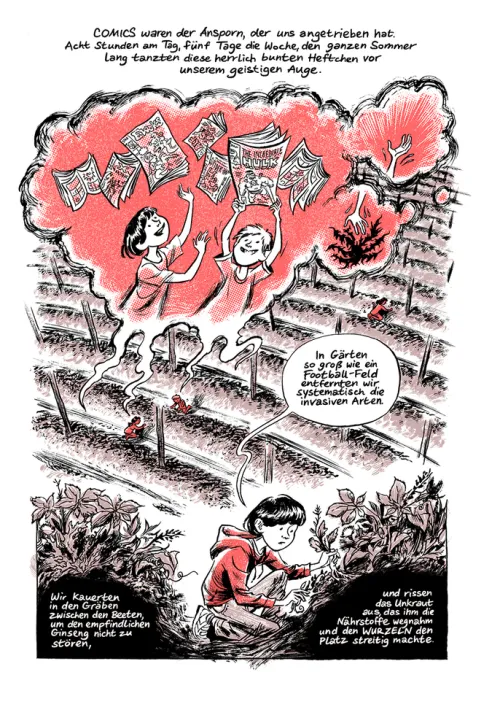 Reprodukt Graphic Novels-Ginsengwurzeln