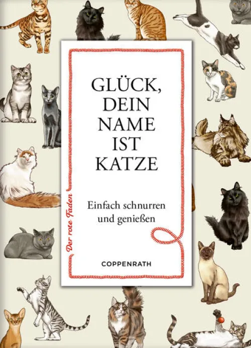 Coppenrath, Münster Glück & Wünsche-Glück, dein Name ist Katze