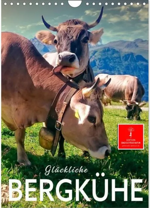 Calvendo Wandkalender*Glückliche Bergkühe (Wandkalender 2026 DIN A4 hoch), Monatskalender