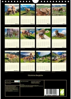 Calvendo Wandkalender*Glückliche Bergkühe (Wandkalender 2026 DIN A4 hoch), Monatskalender
