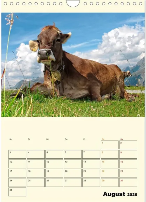 Calvendo Wandkalender*Glückliche Bergkühe (Wandkalender 2026 DIN A4 hoch), Monatskalender