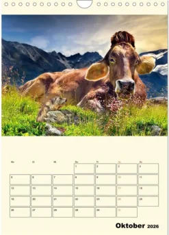 Calvendo Wandkalender*Glückliche Bergkühe (Wandkalender 2026 DIN A4 hoch), Monatskalender