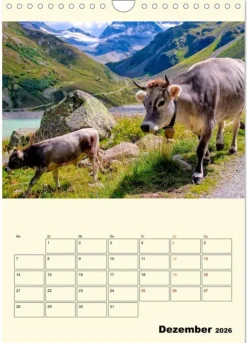 Calvendo Wandkalender*Glückliche Bergkühe (Wandkalender 2026 DIN A4 hoch), Monatskalender