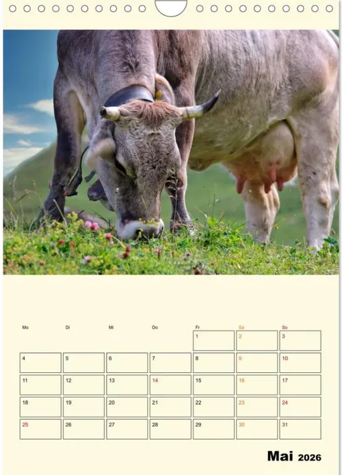 Calvendo Wandkalender*Glückliche Bergkühe (Wandkalender 2026 DIN A4 hoch), Monatskalender