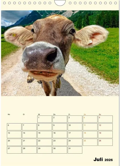 Calvendo Wandkalender*Glückliche Bergkühe (Wandkalender 2026 DIN A4 hoch), Monatskalender