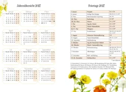 GlücksKalender 2027 - gelb*Coppenrath Online