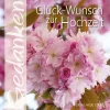 Glück-Wunsch zur Hochzeit*Neue Stadt Best