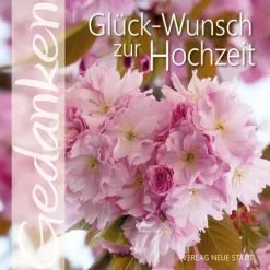 Glück-Wunsch zur Hochzeit*Neue Stadt Best
