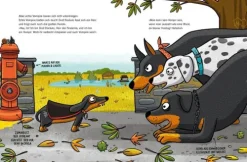 Graf Dackula*FISCHER Sauerländer