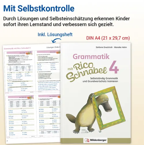 Grammatik mit Rico Schnabel, Klasse 4*Mildenberger Verlag GmbH Sale
