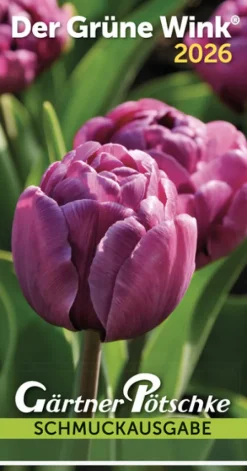 Gärtner Pötschke Abreiß-Kalender-Schmuckausgabe 2026