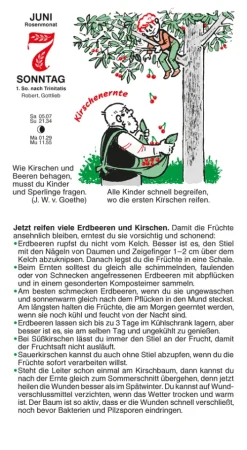 Gärtner Pötschke Abreiß-Kalender-Schmuckausgabe 2026