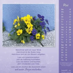 Gut, dass es dich gibt 2026*Kawohl Discount