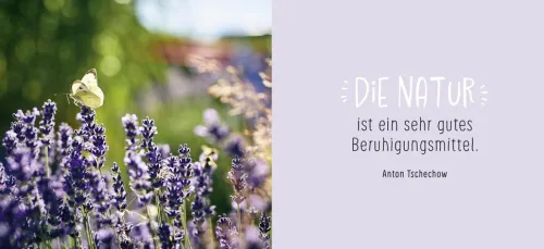 Gute Besserung*Groh Verlag