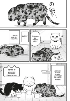 Carlsen Verlag GmbH Slice Of Life*Hachi & Maruru - Streuner halten zusammen! 3