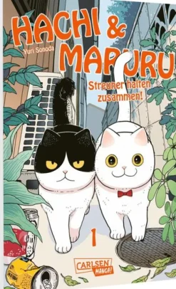 Carlsen Verlag GmbH Slice Of Life-Hachi & Maruru - Streuner halten zusammen! 1