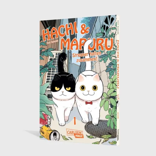Carlsen Verlag GmbH Slice Of Life-Hachi & Maruru - Streuner halten zusammen! 1