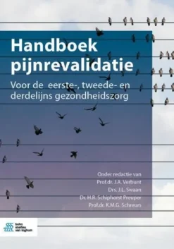 Bohn Stafleu van Loghum Niederländische Bücher-Handboek pijnrevalidatie