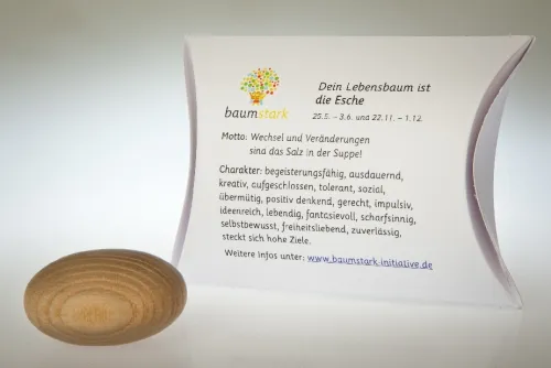 Handschmeichler Esche 45mm mit Baumhoroskop*JOJO Sale