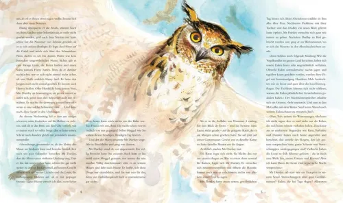 Harry Potter 1 und der Stein der Weisen. Schmuckausgabe*Carlsen Verlag GmbH Outlet