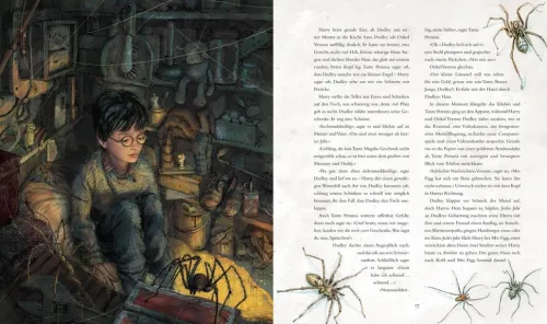 Harry Potter 1 und der Stein der Weisen. Schmuckausgabe*Carlsen Verlag GmbH Outlet