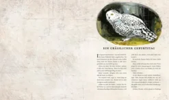 Harry Potter 2 und die Kammer des Schreckens. Schmuckausgabe*Carlsen Verlag GmbH Best