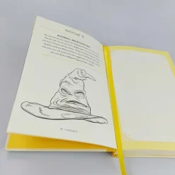 riva Verlag Tagebücher-Harry Potter: Loyal wie ein Hufflepuff