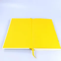 riva Verlag Tagebücher-Harry Potter: Loyal wie ein Hufflepuff