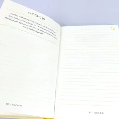 riva Verlag Tagebücher-Harry Potter: Loyal wie ein Hufflepuff