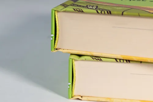 Loewe Verlag GmbH Lgbtqia+ Jugendbücher*Heartstopper Volume 3 (deutsche Hardcover-Ausgabe)