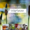 Haupt Verlag AG Biologie*Heilsame Wildpflanzen