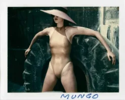 Taschen GmbH Künstler:Innen Im Fokus*Helmut Newton - Polaroids