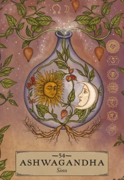 Königsfurt-Urania Spiritualität*Herbal Astrology Orakel: 55 Karten mit Botschaften und Anleitungen