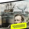 Copycat Gesamtausgaben|Meeresgeschichten-Herman Melville - Gesammelte Werke