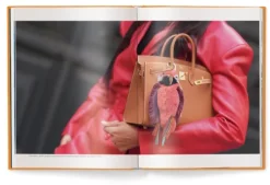 teNeues Verlag GmbH Architektur & Wohnen-Hermès Bags: Der ultimative Guide