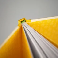 riva Verlag Nach Zielgruppen|Weisheiten-Herr Janosch, wie feiert man sich selbst?