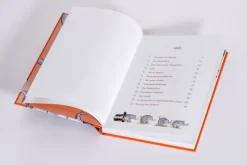 cbj 3-6 Jahre*Herwig und Elsie - Wo ist der große Zauberer?