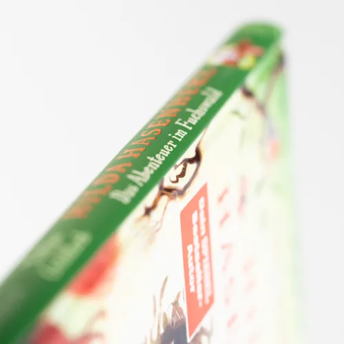 Hilda Hasenherz. Das Abenteuer im Fuchswald*Schneiderbuch Hot