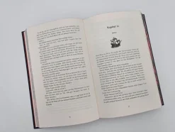 Piper Verlag GmbH Dark Romance*Hooked (Sonderausgabe)