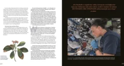 Dorling Kindersley Verlag Physik & Astronomie*Horizonte