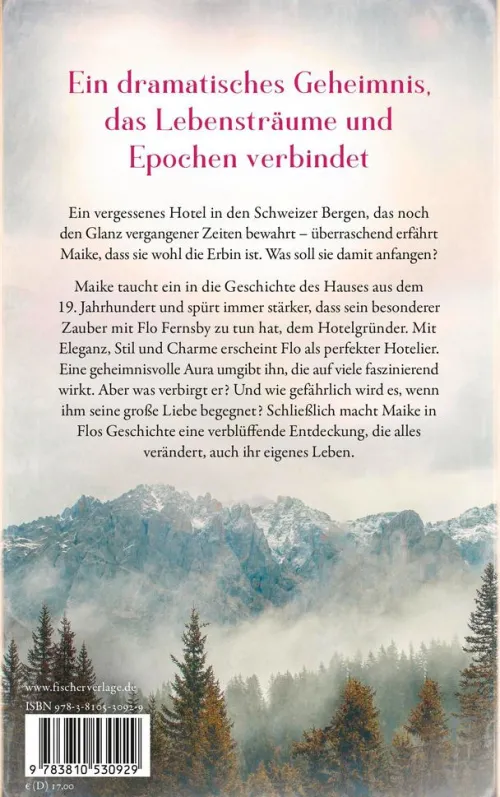 FISCHER Krüger Schicksalsromane*Hotel in den Wolken