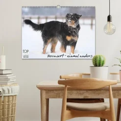 Calvendo Wandkalender*Hovawarte - einmal anders (Wandkalender 2026 DIN A3 quer), Monatskalender