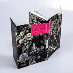 Carlsen Verlag GmbH Klassische Horrorgeschichten*H.P. Lovecrafts Der leuchtende Trapezoeder