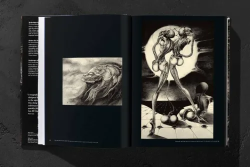 Taschen GmbH Künstler:Innen Im Fokus-HR Giger