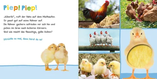 Kinder Ars Edition GmbH 0-3 Jahre-Hör mal rein, wer kann das sein? Bauernhoftiere